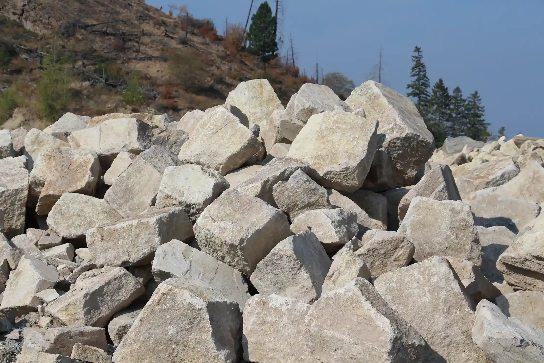 Mountain Ash Landscape Rock & Chips