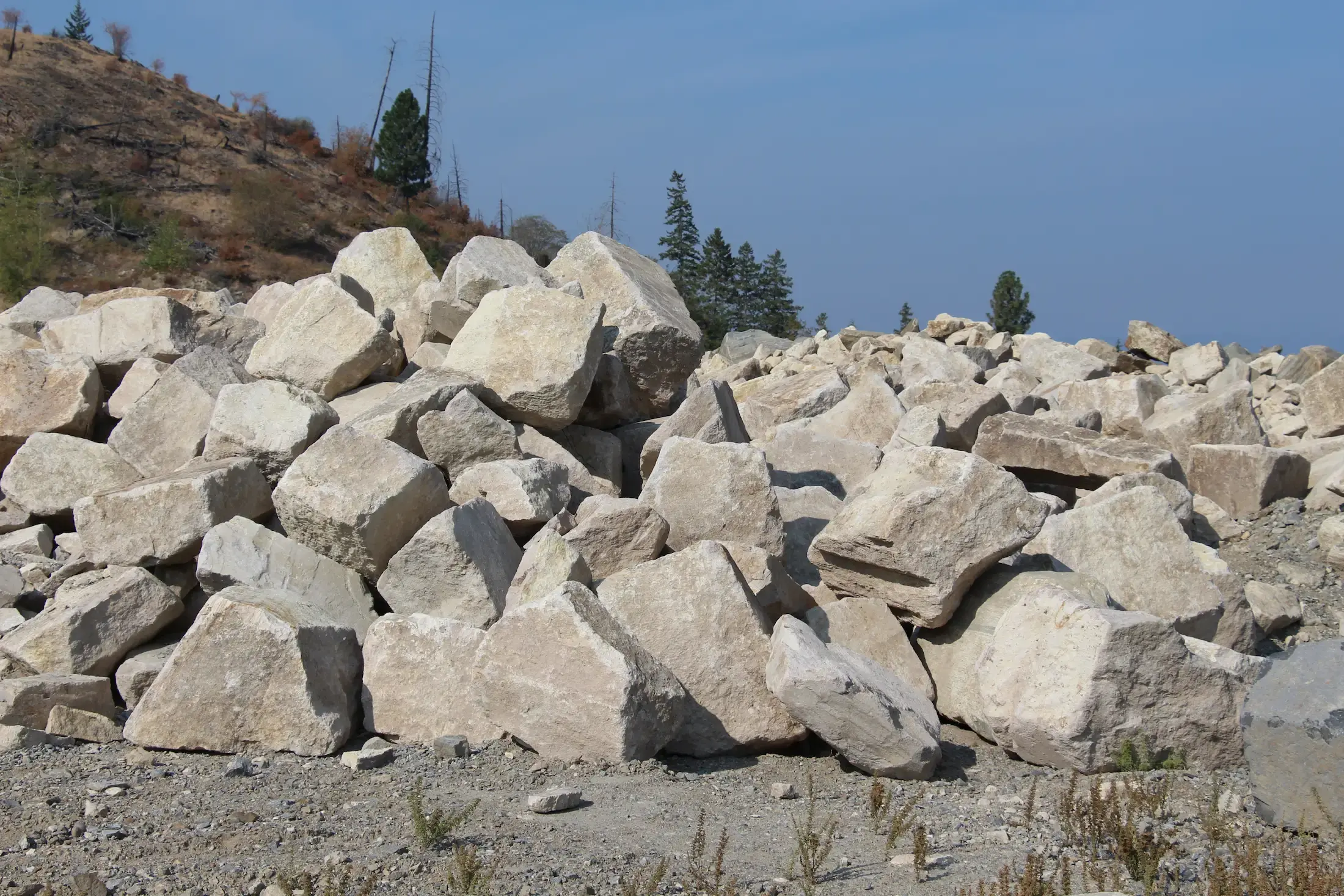 Mountain Ash Feature Stones